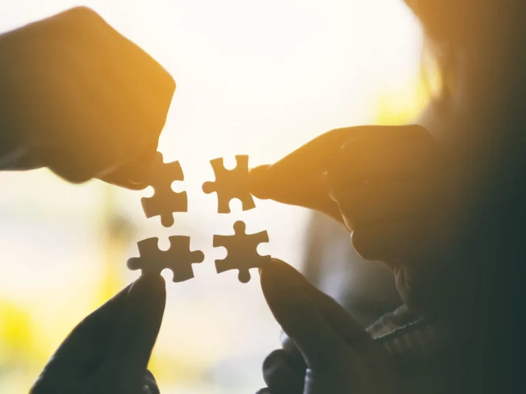 Community Leadership: Putting the pieces together