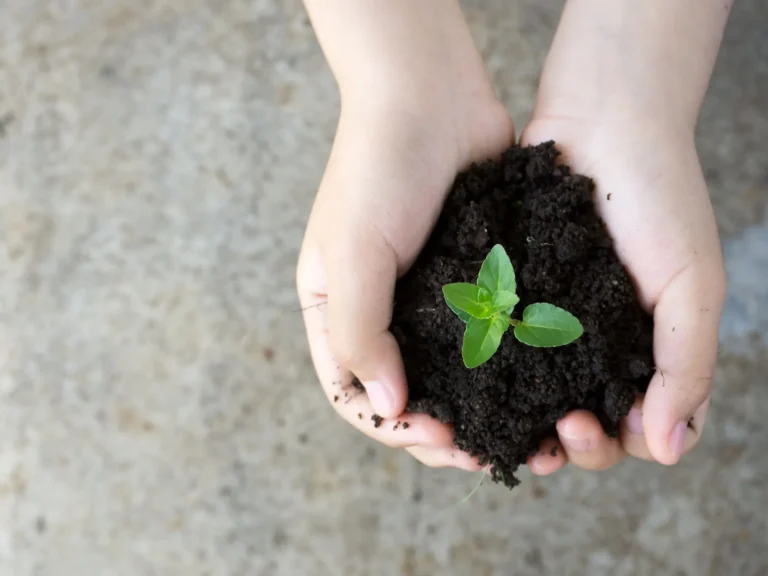 Education and Maturity - Thoughts from Robert Greenleaf (Pt. 1)