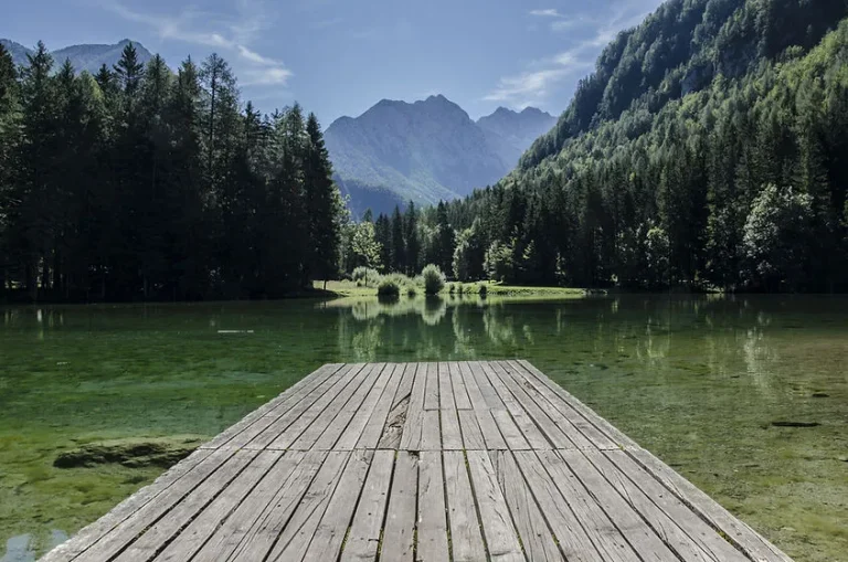 From Manager to Coach: One Shift That Changes Everything in Leadership