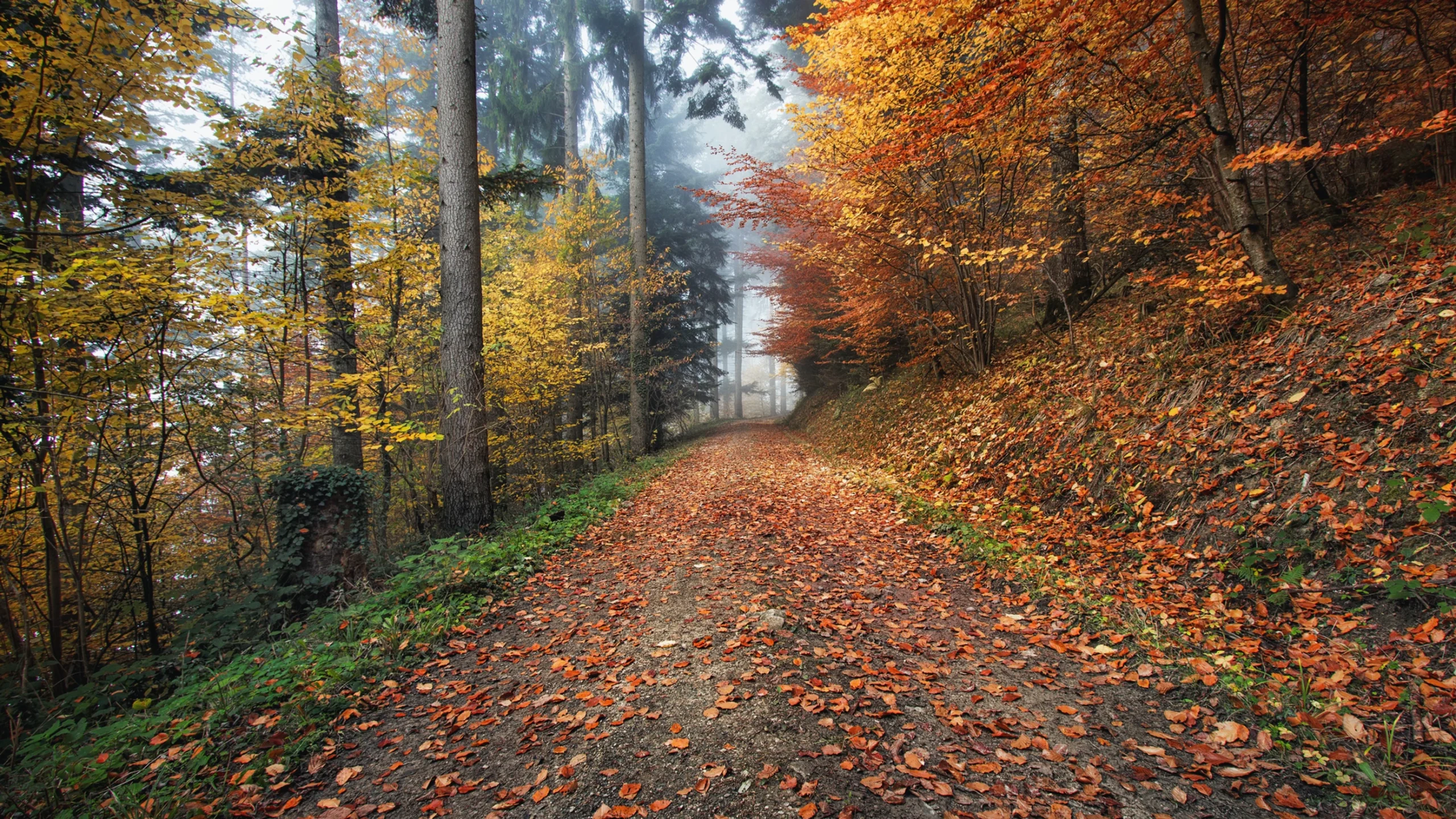 How coaching has made me a better Servant Leader