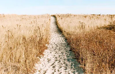 The Power of Grace: A Leadership Imperative