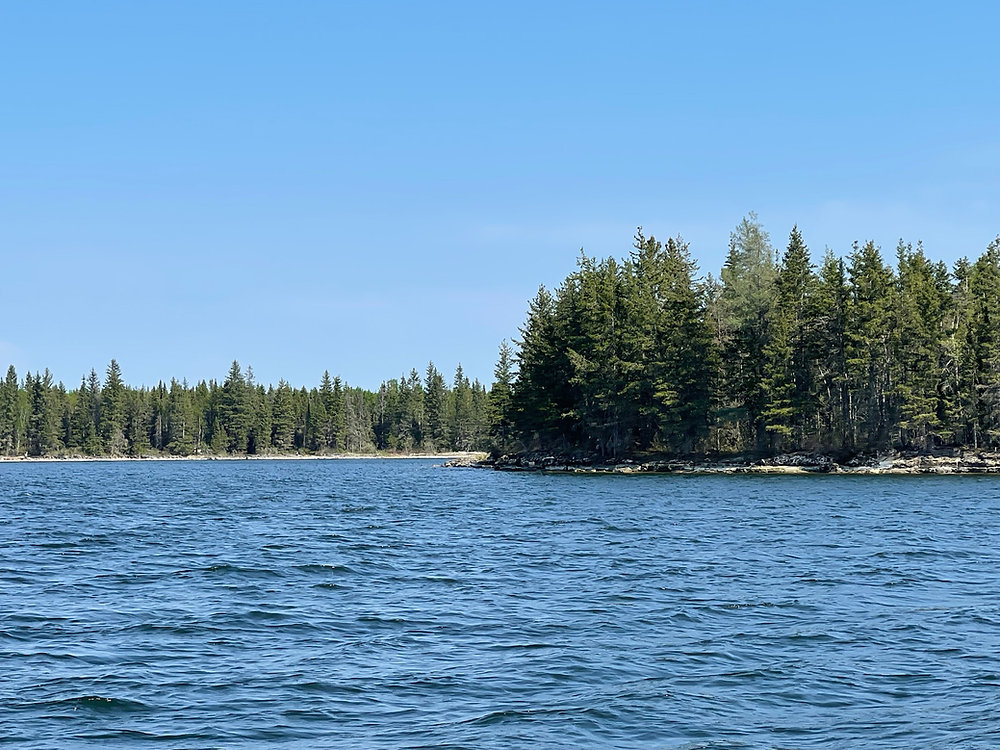 Cedar Lake, Manitoba — calm water and forested shoreline